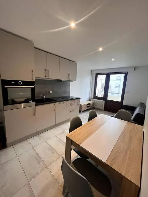 Au Pied Du Tramway Apartment Ambilly 0*,